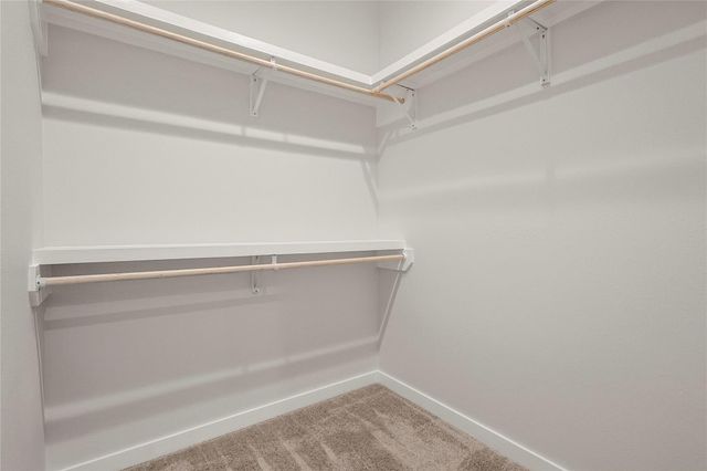 2317 Eagle Street, Houston, TX 77004