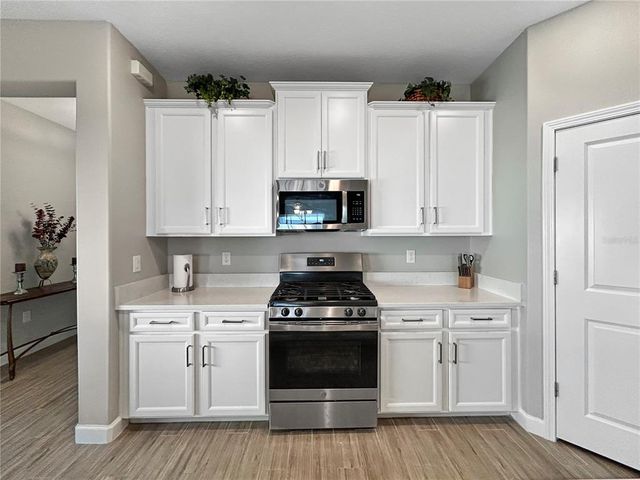 16913 ANCHOR ROOT STREET, Wimauma, FL 33598