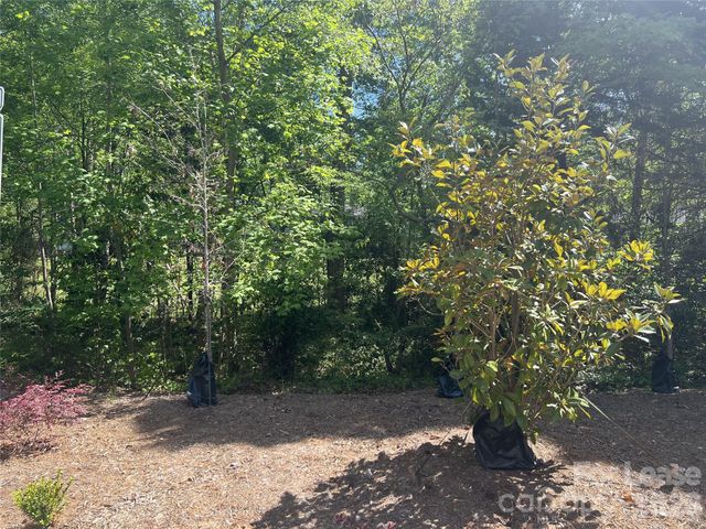1356 Briar Creek Road, Charlotte, NC 28205