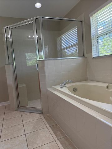 4035 LANGDRUM DRIVE, Wesley Chapel, FL 33543