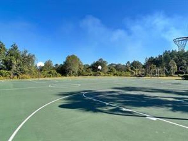 4035 LANGDRUM DRIVE, Wesley Chapel, FL 33543