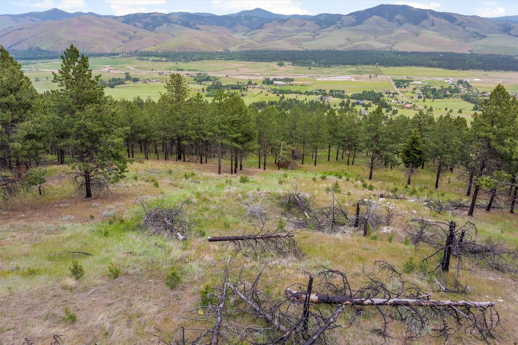 16485 Folsom Road, Florence, MT 59833 photo 100