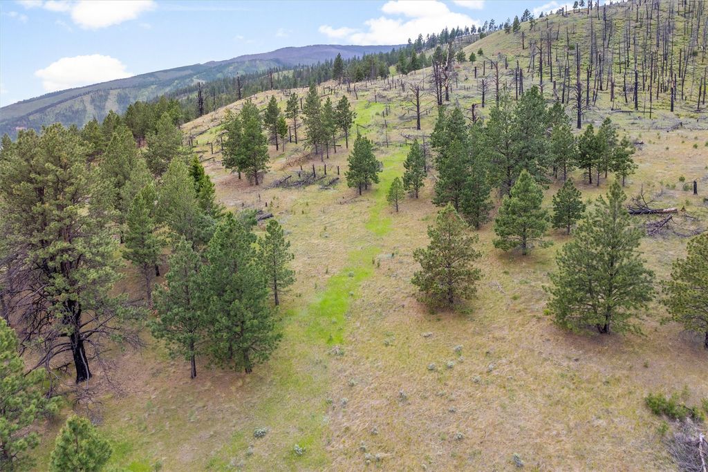 16485 Folsom Road, Florence, MT 59833 photo 101