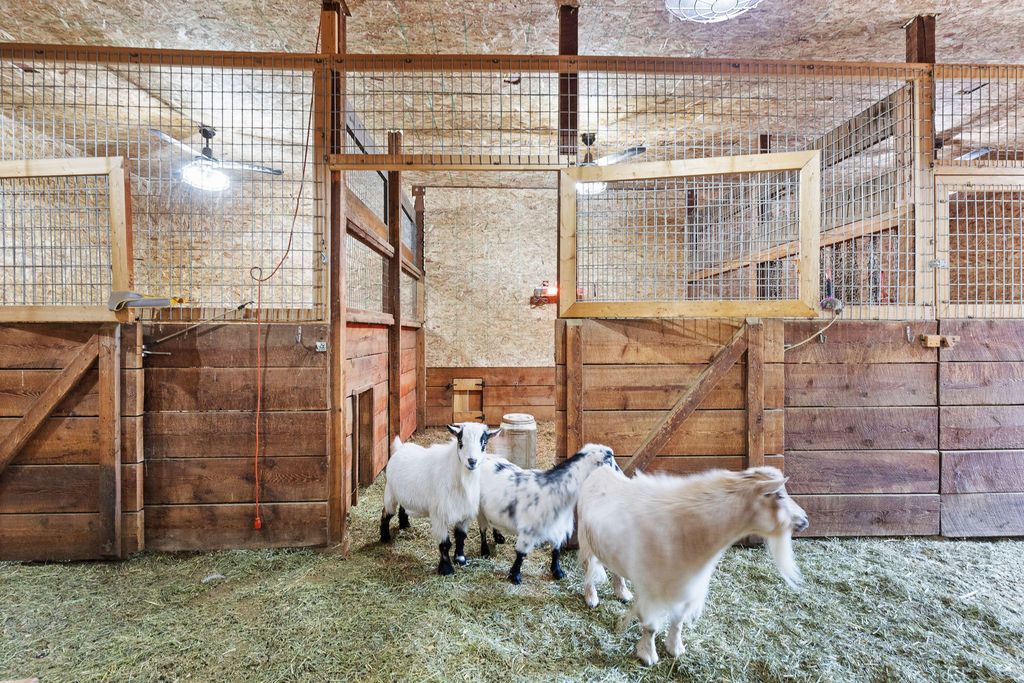 16485 Folsom Road, Florence, MT 59833 photo 83