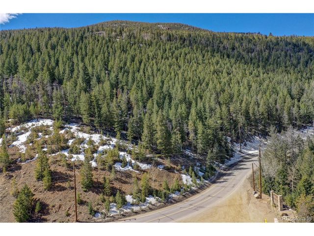 0 Saddleback, Evergreen, CO 80439