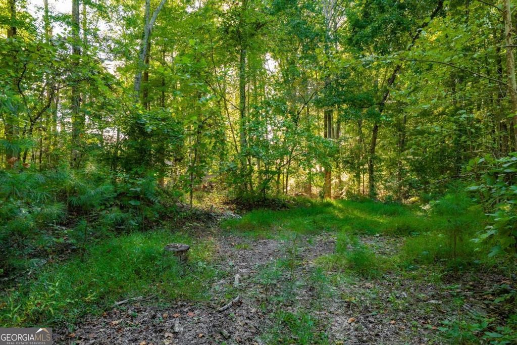 3015 Mars Hill Road NW, Acworth, GA 30101 — photo 2