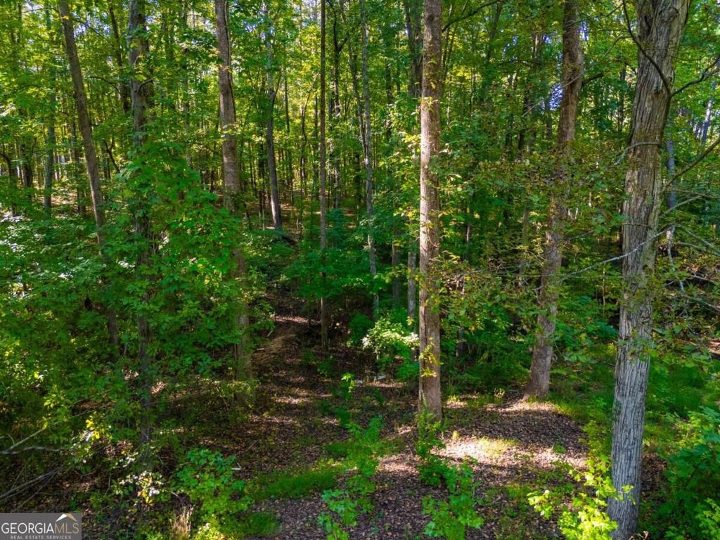 3015 Mars Hill Road NW, Acworth, GA 30101 — photo 4