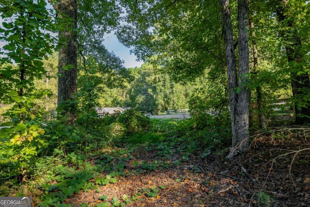 3015 Mars Hill Road NW, Acworth, GA 30101 — photo 5