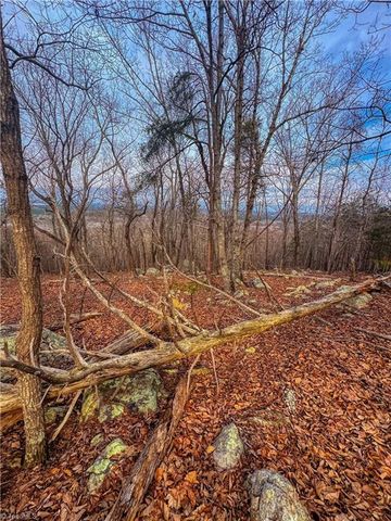 2243 Sierra Trace Road, Denton, NC 27239