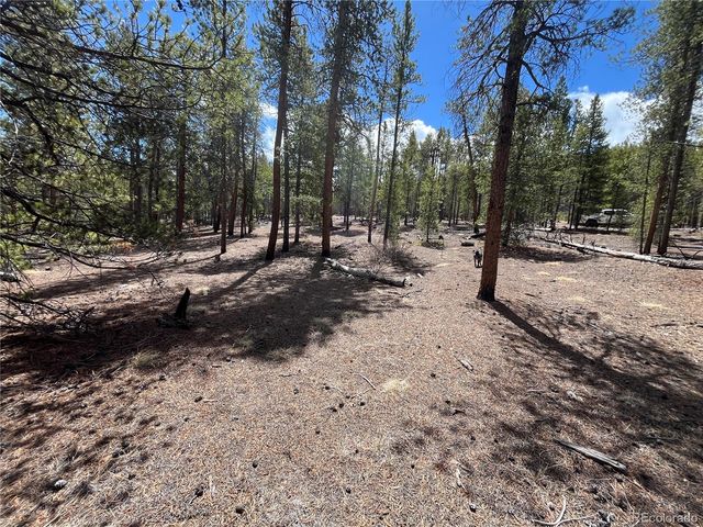 1013 Sequoia Drive, Twin Lakes, CO 81251