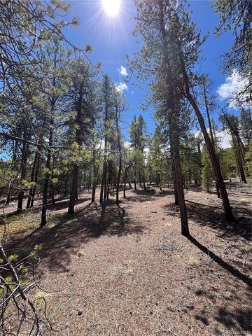 1013 Sequoia Drive, Twin Lakes, CO 81251