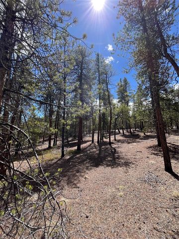 1013 Sequoia Drive, Twin Lakes, CO 81251