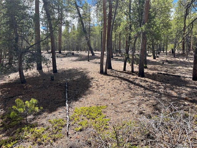 1013 Sequoia Drive, Twin Lakes, CO 81251