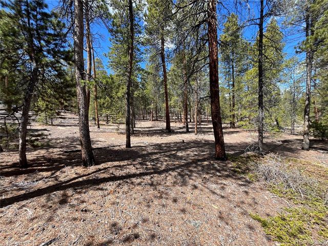 1013 Sequoia Drive, Twin Lakes, CO 81251
