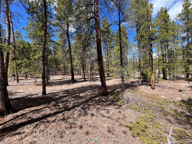 1013 Sequoia Drive, Twin Lakes, CO 81251