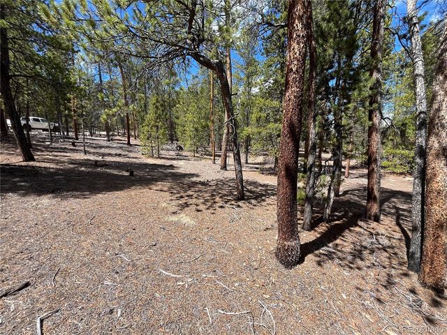 1013 Sequoia Drive, Twin Lakes, CO 81251