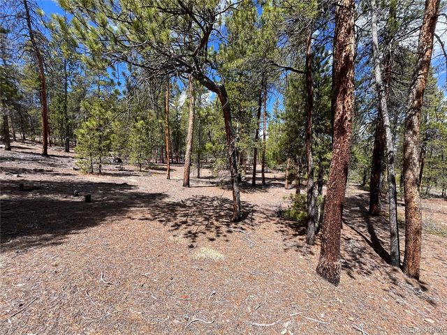 1013 Sequoia Drive, Twin Lakes, CO 81251