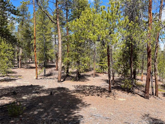 1013 Sequoia Drive, Twin Lakes, CO 81251