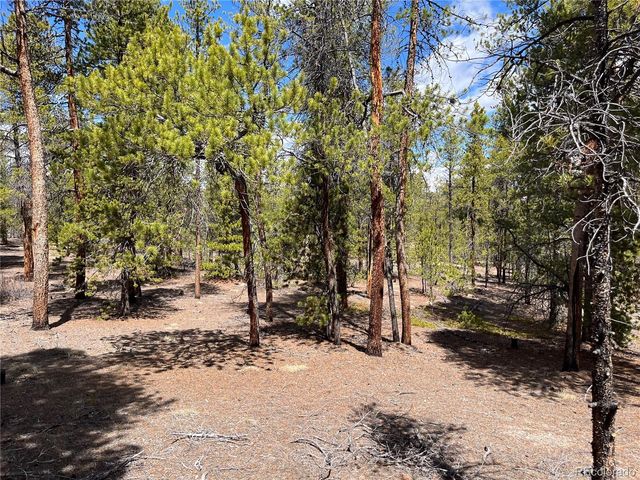 1013 Sequoia Drive, Twin Lakes, CO 81251