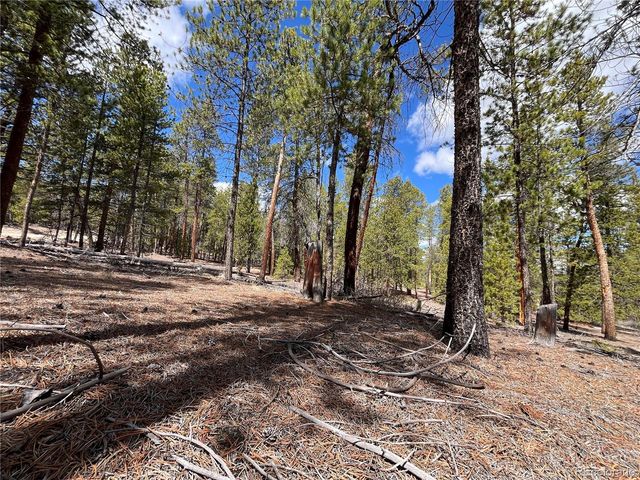 1013 Sequoia Drive, Twin Lakes, CO 81251