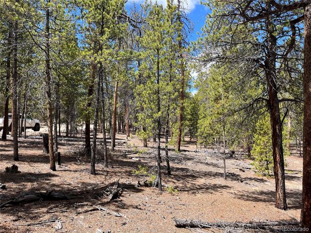 1013 Sequoia Drive, Twin Lakes, CO 81251