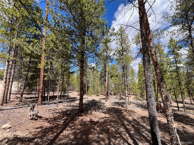1013 Sequoia Drive, Twin Lakes, CO 81251