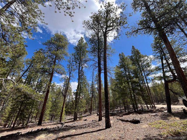 1013 Sequoia Drive, Twin Lakes, CO 81251