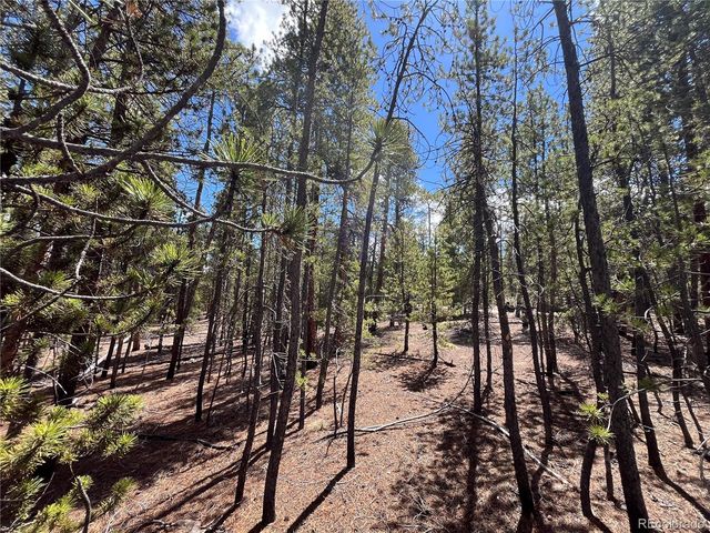 1013 Sequoia Drive, Twin Lakes, CO 81251