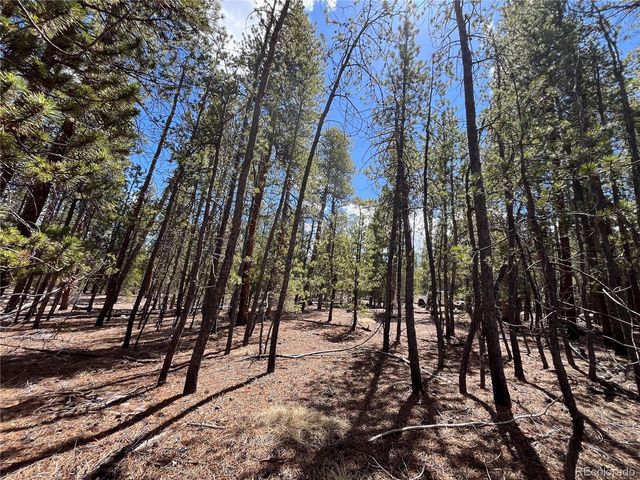 1013 Sequoia Drive, Twin Lakes, CO 81251