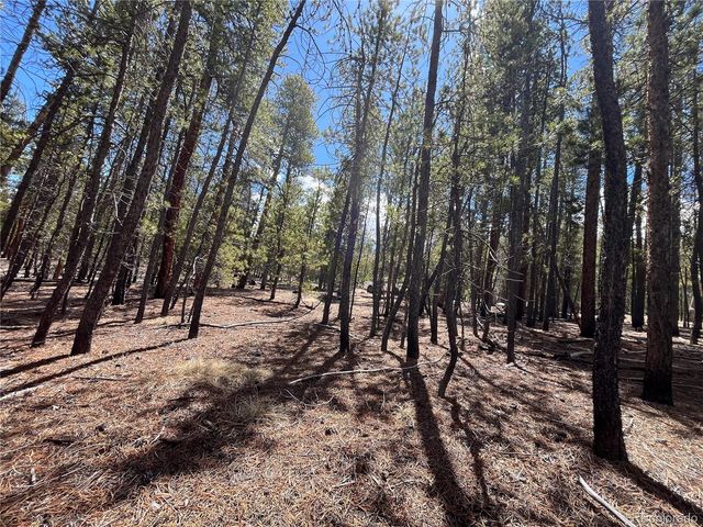1013 Sequoia Drive, Twin Lakes, CO 81251
