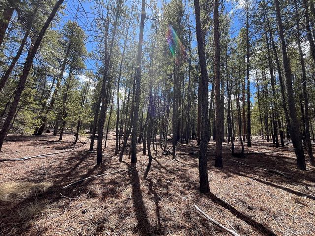 1013 Sequoia Drive, Twin Lakes, CO 81251