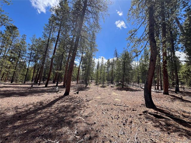 1013 Sequoia Drive, Twin Lakes, CO 81251