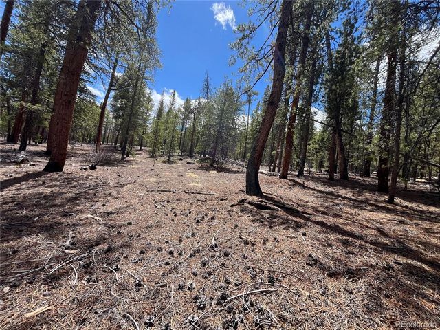 1013 Sequoia Drive, Twin Lakes, CO 81251