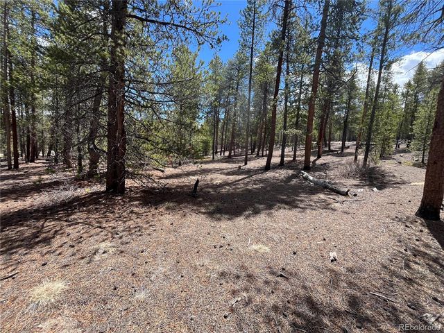1013 Sequoia Drive, Twin Lakes, CO 81251
