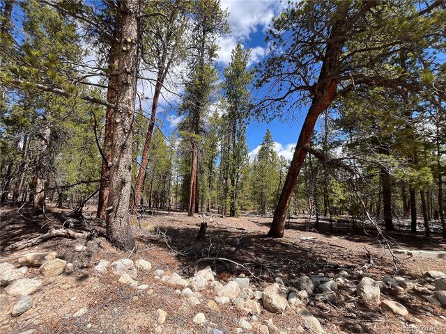 1013 Sequoia Drive, Twin Lakes, CO 81251