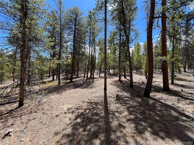 1013 Sequoia Drive, Twin Lakes, CO 81251