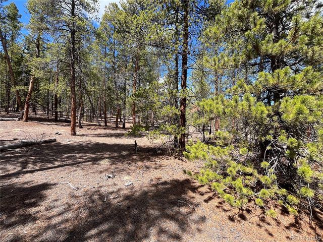 1013 Sequoia Drive, Twin Lakes, CO 81251