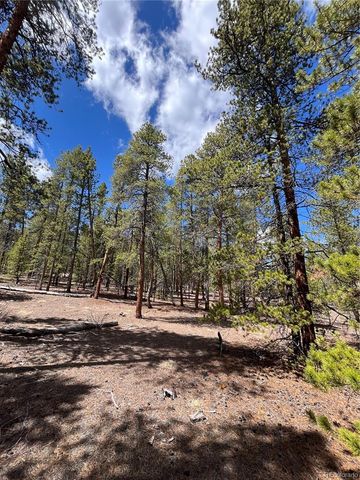 1013 Sequoia Drive, Twin Lakes, CO 81251