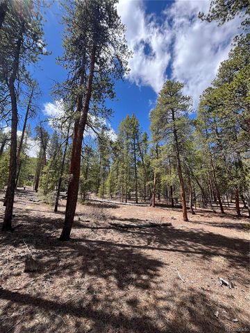 1013 Sequoia Drive, Twin Lakes, CO 81251