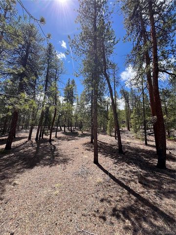 1013 Sequoia Drive, Twin Lakes, CO 81251