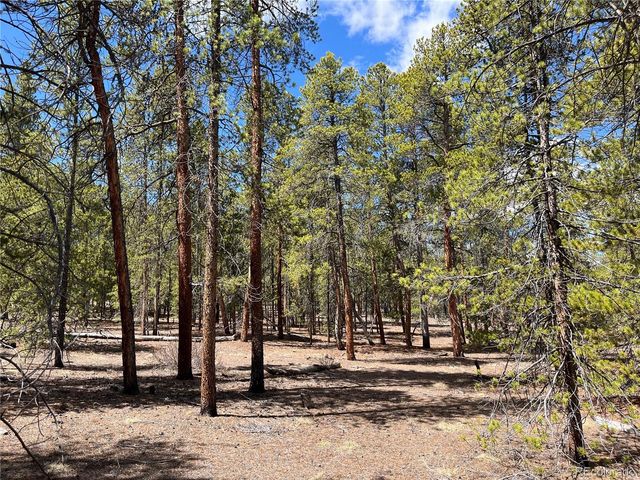 1013 Sequoia Drive, Twin Lakes, CO 81251