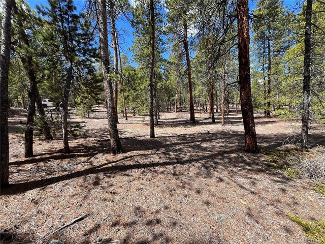 1013 Sequoia Drive, Twin Lakes, CO 81251