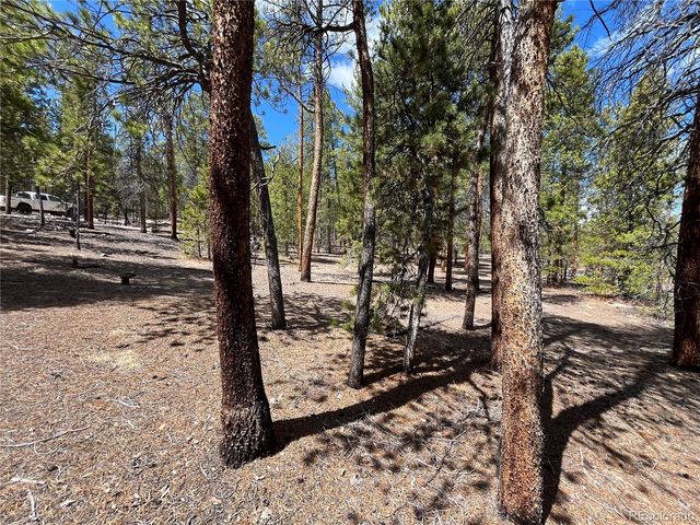 1013 Sequoia Drive, Twin Lakes, CO 81251