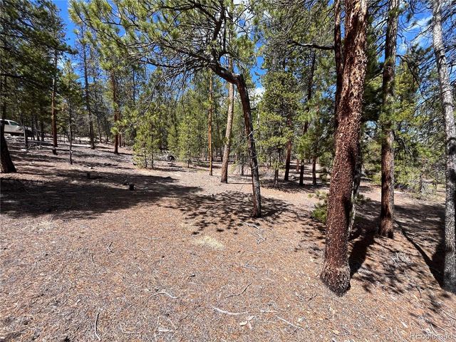 1013 Sequoia Drive, Twin Lakes, CO 81251