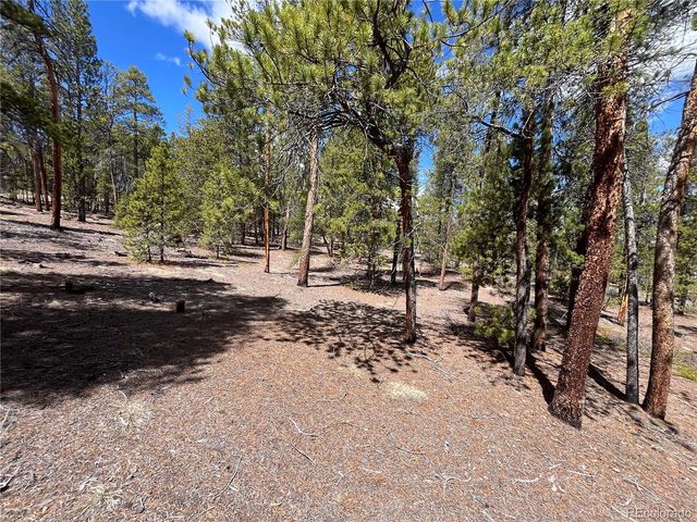 1013 Sequoia Drive, Twin Lakes, CO 81251