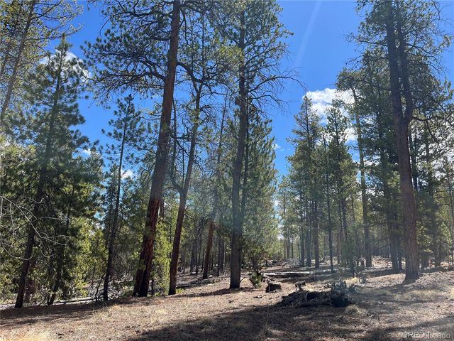 1013 Sequoia Drive, Twin Lakes, CO 81251