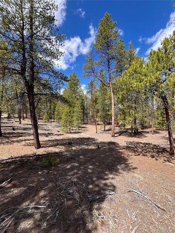 1013 Sequoia Drive, Twin Lakes, CO 81251