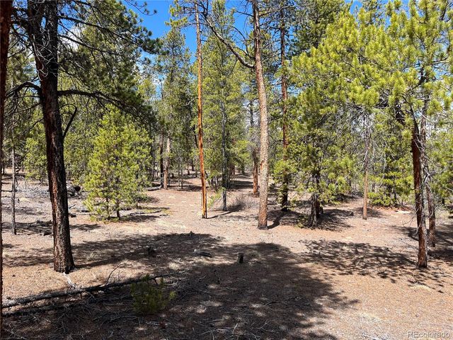1013 Sequoia Drive, Twin Lakes, CO 81251