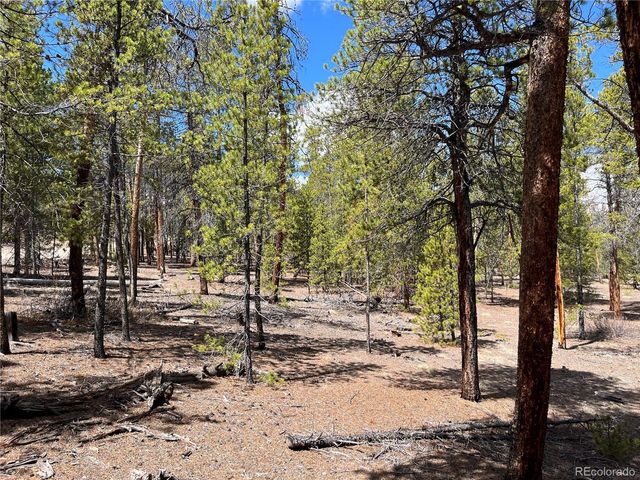 1013 Sequoia Drive, Twin Lakes, CO 81251