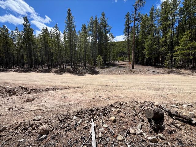 1013 Sequoia Drive, Twin Lakes, CO 81251